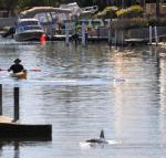 Sunsea Waterfront South Yunderup - Yamba Accommodation