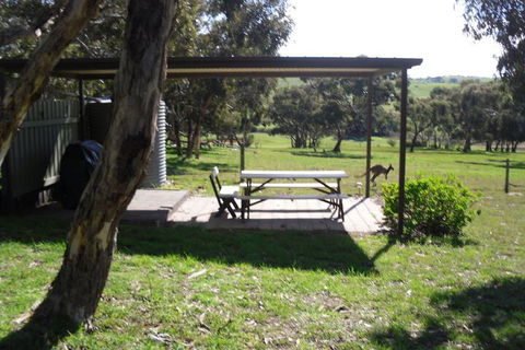 Wenton Farm Holiday Cottages - Yamba Accommodation 2