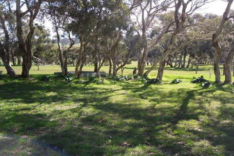 Wenton Farm Holiday Cottages - Yamba Accommodation 3