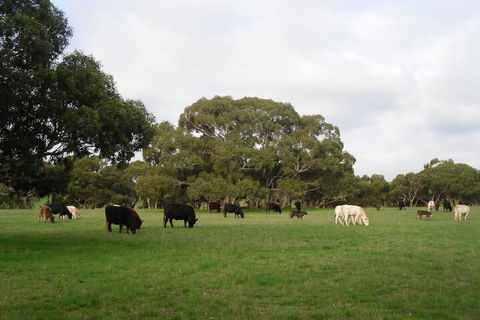 Wenton Farm Holiday Cottages - Yamba Accommodation 4