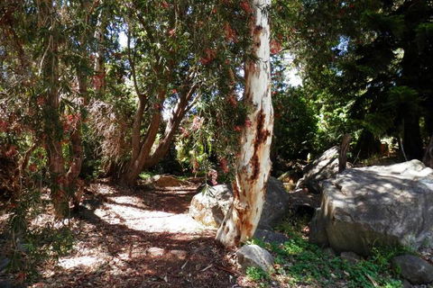 The Hideaway Luxury B & B Retreat - Yamba Accommodation 6