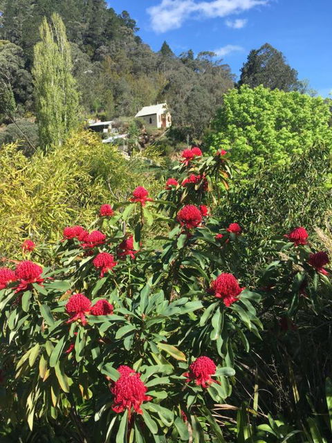 Stringers Cottage - Yamba Accommodation 1