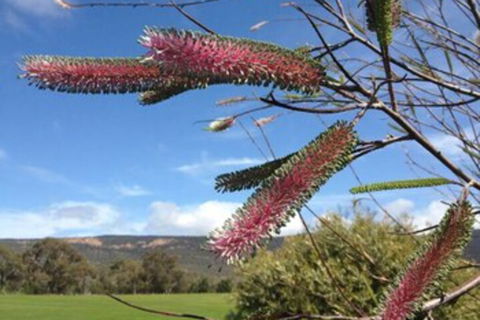 Blaze Rock Retreat - Yamba Accommodation 3