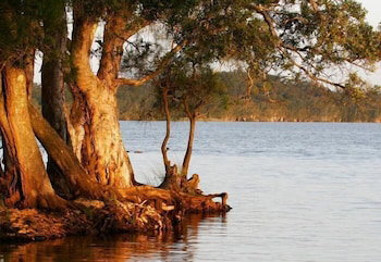 NRMA Myall Shores Holiday Park - Yamba Accommodation 2