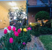 The Vines Motel and Cottages - Yamba Accommodation
