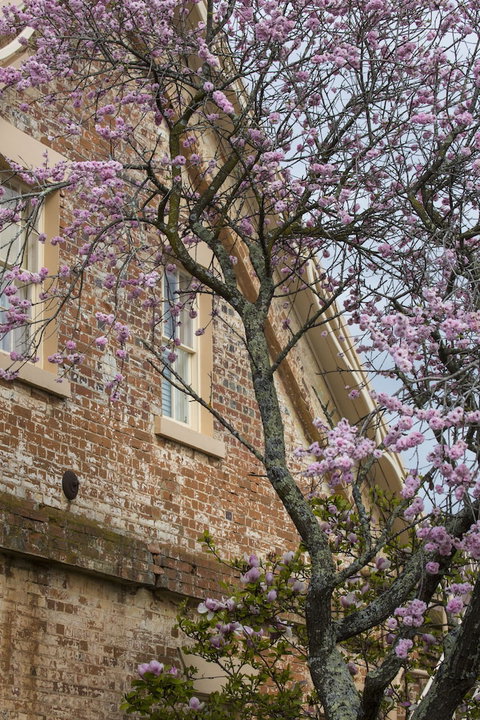 The Racecourse Inn - Yamba Accommodation 0