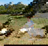 Country Cottages of Bridgetown - Yamba Accommodation