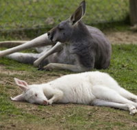 A Twist of Willow - Yamba Accommodation