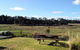 Pelican Point Sanctuary - thumb 0