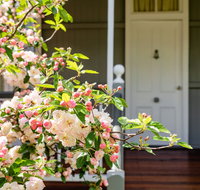 Apple Blossom Cottage - Yamba Accommodation