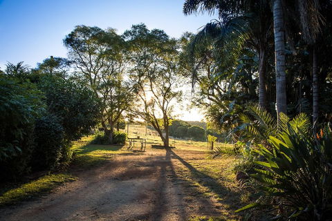 Hillview Cottages - Yamba Accommodation 0