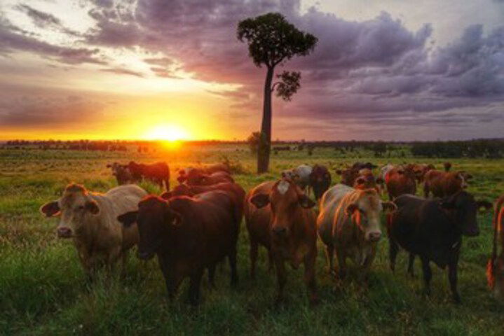 Kokotungo QLD Yamba Accommodation