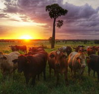 Myella Farm Stay - Yamba Accommodation