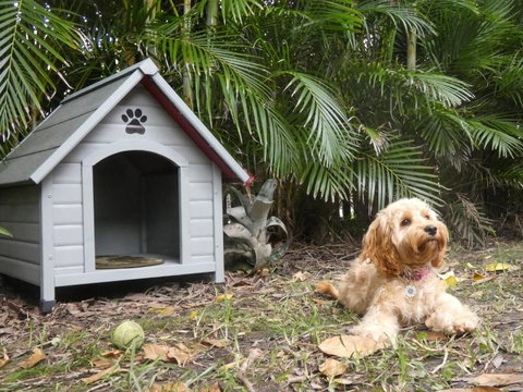 CHILL OUT BEACH HOUSE At FORSTER - Yamba Accommodation 3