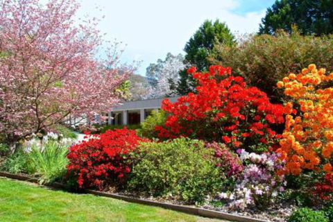 Grevillea Gardens Apartments - Yamba Accommodation 7