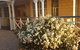 Grovely House Bed & Breakfast - thumb 0
