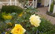 Grovely House Bed & Breakfast - thumb 3