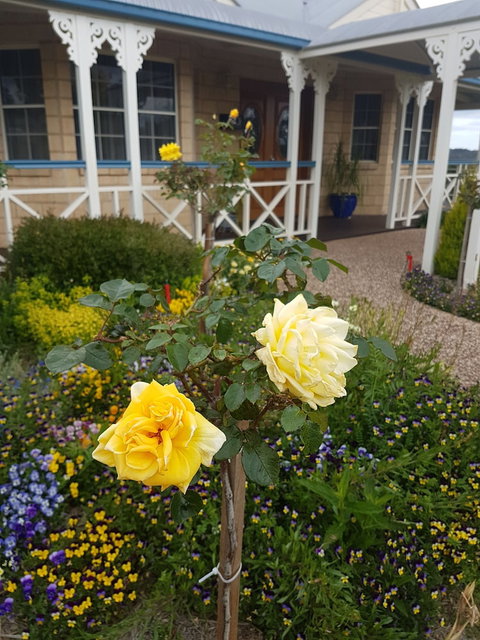 Grovely House Bed & Breakfast - Yamba Accommodation 3