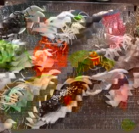 Toshi's Japanese Restaurant - Yamba Accommodation