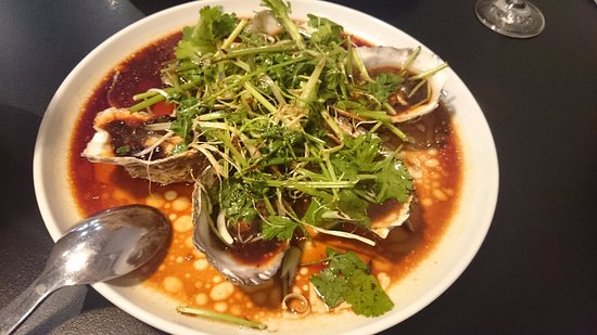 Adelaide City SA Yamba Accommodation