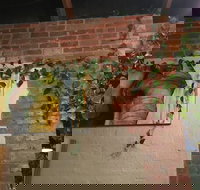 Imm Oon - Yamba Accommodation