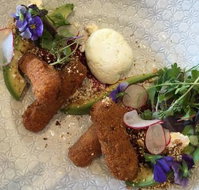 Round Bird Can't Fly - Yamba Accommodation