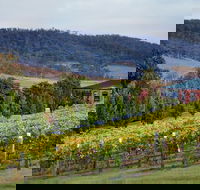 De Bortoli Winery  Restaurant - Yamba Accommodation