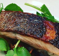 The Shaggy Cow - Yamba Accommodation