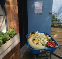 Jacican - Yamba Accommodation