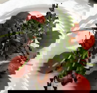 Gusto - Yamba Accommodation