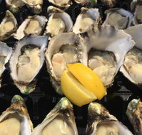 The Oyster Shed - Yamba Accommodation