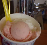 Bermagui Gelati Clinic - Yamba Accommodation