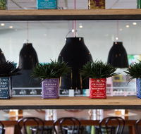 Collegians Balgownie - Yamba Accommodation