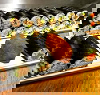 Freewave Sushi  Burgers - Yamba Accommodation