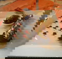 Tern Inn - Yamba Accommodation