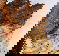 Chicken king - Yamba Accommodation