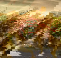 Tarana Indian Restaurant - Yamba Accommodation