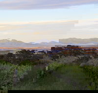 Castle Rock Estate Winery - Yamba Accommodation