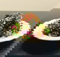 Mai Jia - Yamba Accommodation