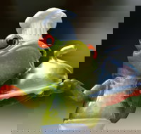 The Lillipad Cafe - Yamba Accommodation