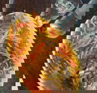 Mix and match - Yamba Accommodation