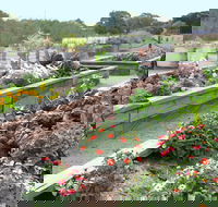 The Farmer's Place - Yamba Accommodation
