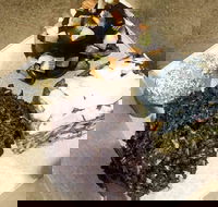 Cocomama's - Yamba Accommodation