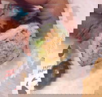 La Porchetta Colac - Colac - Yamba Accommodation