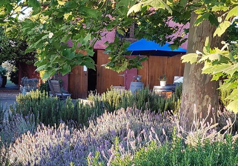 Macquariedale Organic Wines - Yamba Accommodation 0