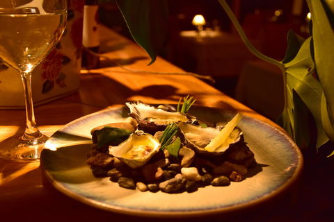 The Ocean Lounge - Yamba Accommodation 1