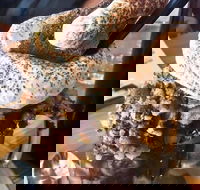 Boxers Burgers - Yamba Accommodation