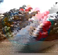 Green Remedy - Yamba Accommodation