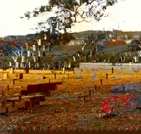 The Megalong Valley Tearooms - Yamba Accommodation