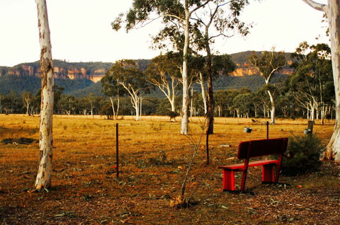 The Megalong Valley Tearooms - Yamba Accommodation 0